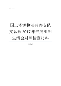 国土资源执法监察支队支队长2017年专题组织生活会对照检查材料市劳动保障监察支队支队长什么级别