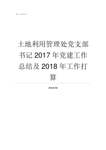 土地利用管理处党支部书记2017年党建工作总结及2018年工作打算土地利用方式