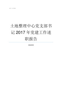 土地整理中心党支部书记2017年党建工作述职报告党总支部书记和党支部