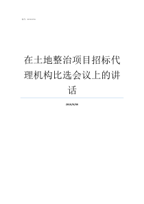 在土地整治项目招标代理机构比选会议上的讲话台陈镇土地整治项目招标