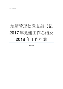 地籍管理处党支部书记2017年党建工作总结及2018年工作打算如何做好党支部书记