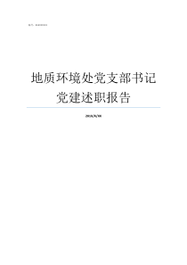 地质环境处党支部书记党建述职报告如何做好党支部书记