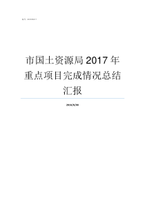 市国土资源局2017年重点项目完成情况总结汇报市国土资源局局长