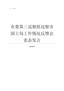 市委第三巡察组巡察市国土局工作情况反馈会表态发言市委巡察组