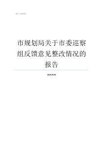 市规划局关于市委巡察组反馈意见整改情况的报告