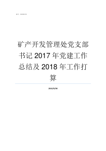 矿产开发管理处党支部书记2017年党建工作总结及2018年工作打算矿产开发公司