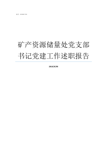 矿产资源储量处党支部书记党建工作述职报告矿产资源储量划分