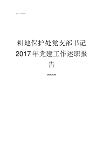 耕地保护处党支部书记2017年党建工作述职报告如何做好党支部书记