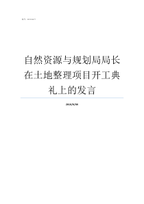 自然资源与规划局局长在土地整理项目开工典礼上的发言自然资源局局长