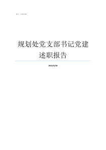 规划处党支部书记党建述职报告党支部书记述党建