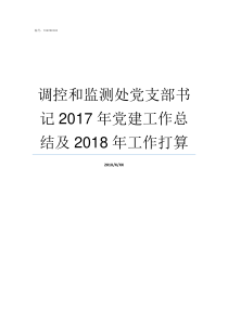 调控和监测处党支部书记2017年党建工作总结及2018年工作打算成立党支部