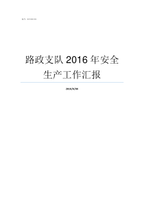 路政支队2016年安全生产工作汇报路政执法支队