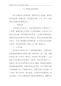 个人思想政治表现情况