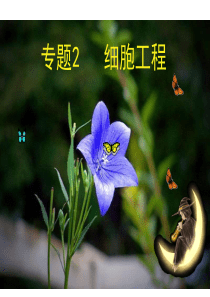 植物细胞工程--一轮复习