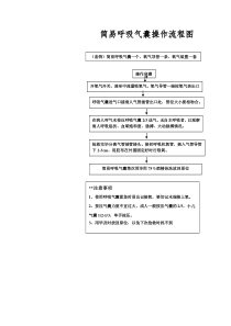 简易呼吸气囊操作流程图