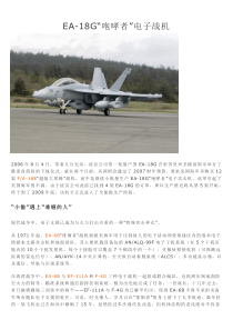 EA-18G“咆哮着”电子战机