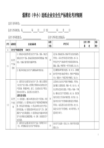 淄博市(中小)造纸企业安全标准化评审细则-XXXX0316