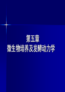 生化工程第五章微生物培养及发酵动力学(精品)