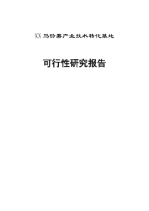 XX马铃薯产业技术转化基地可行性研究报(1)