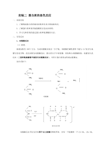 2、蛋白质的显色反应