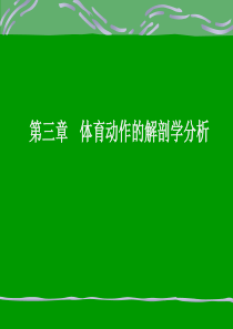 体育运动解剖学分析学习资料