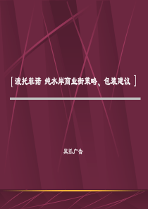 深圳黑弧-波托菲诺纯水岸商业街策略包装建议 