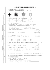 新湘教版七年级下数学期末复习试题5