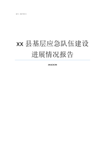 xx县基层应急队伍建设进展情况报告什么是基层干部队伍