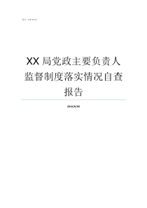 XX局党政主要负责人监督制度落实情况自查报告各级党政主要负责人