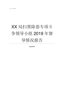 XX局扫黑除恶专项斗争领导小组2019年督导情况报告斗XX移