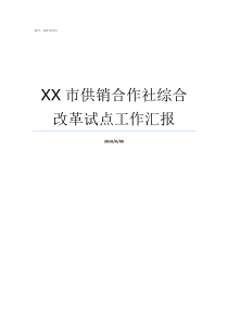 XX市供销合作社综合改革试点工作汇报