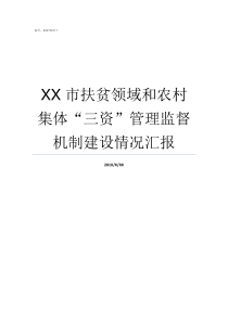 XX市扶贫领域和农村集体三资管理监督机制建设情况汇报农村野外