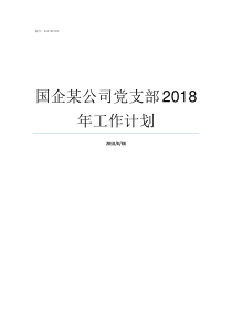 国企某公司党支部2018年工作计划国企党支部建设要求