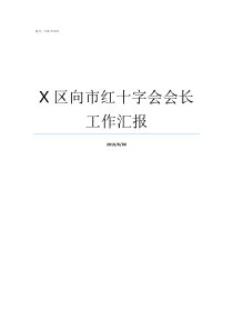 X区向市红十字会会长工作汇报红十字会长