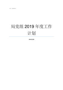 局党组2019年度工作计划2019年放假安排