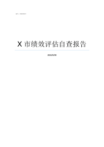 X市绩效评估自查报告x街X市