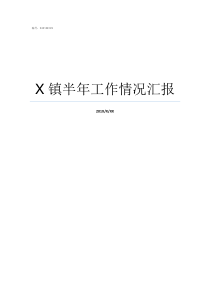 X镇半年工作情况汇报一镇一业工作情况汇报