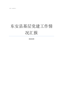 东安县基层党建工作情况汇报