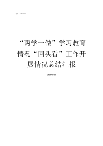 两学一做学习教育情况回头看工作开展情况总结汇报