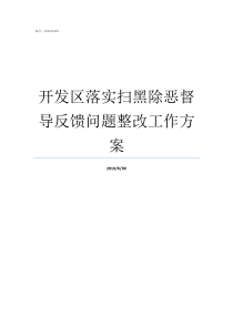 开发区落实扫黑除恶督导反馈问题整改工作方案扫黑除恶四督