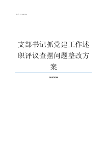 支部书记抓党建工作述职评议查摆问题整改方案支部书记如何抓党建工作