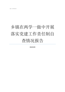 乡镇在两学一做中开展落实党建工作责任制自查情况报告两学一做开展