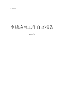 乡镇应急工作自查报告个人工作自查报告