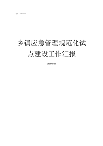 乡镇应急管理规范化试点建设工作汇报