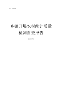 乡镇开展农村统计质量检测自查报告