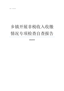 乡镇开展非税收入收缴情况专项检查自查报告