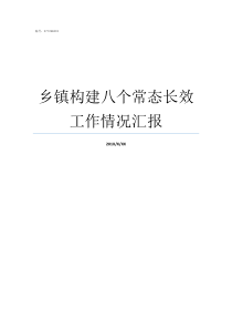 乡镇构建八个常态长效工作情况汇报