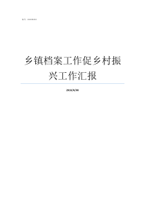 乡镇档案工作促乡村振兴工作汇报乡镇乡村振兴