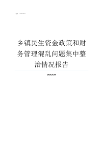 乡镇民生资金政策和财务管理混乱问题集中整治情况报告