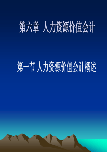 6人力资源价值会计